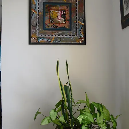 Διαμέρισμα Miraluna 3*