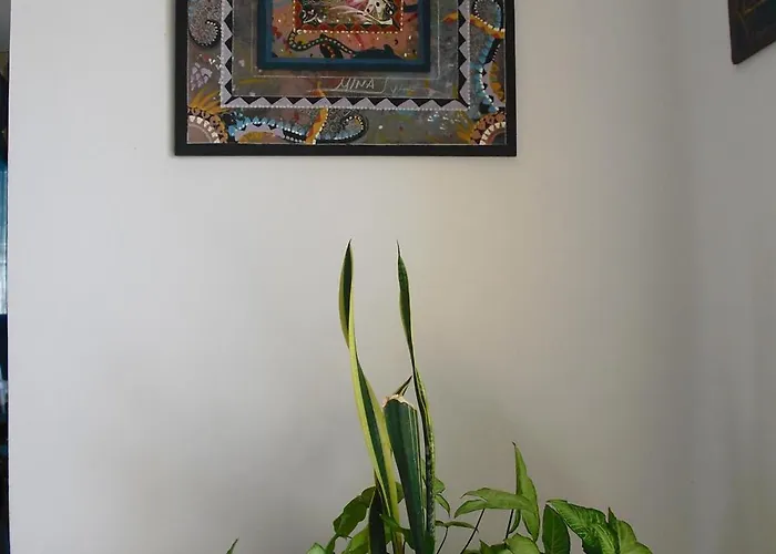 Apartamento Miraluna 3*